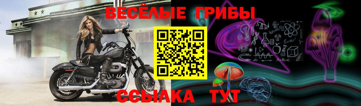 Псилоцибиновые грибы мухоморы Еманжелинск